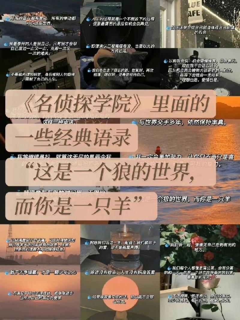 出轨爱情检讨书500字_爱情出轨_出轨爱情的句子经典语录