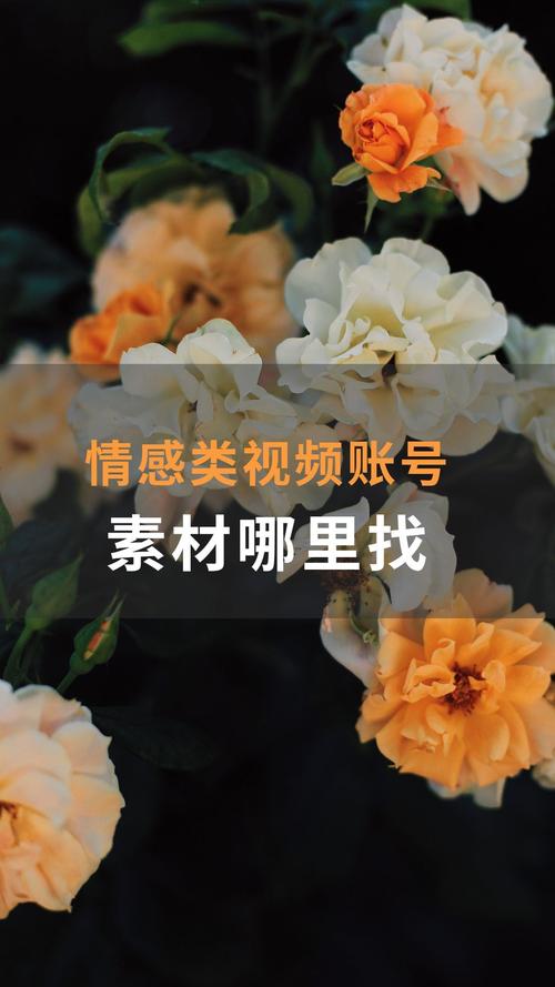 情感网站_咨询情感网站_情感网站的logo图片
