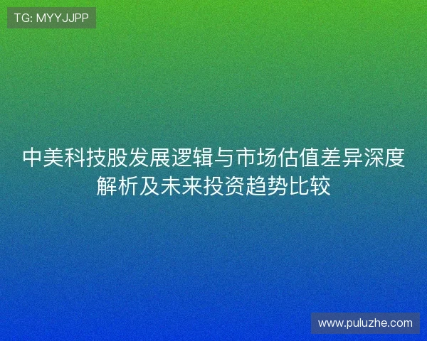 中美科技股发展逻辑与市场估值差异深度解析及未来投资趋势比较