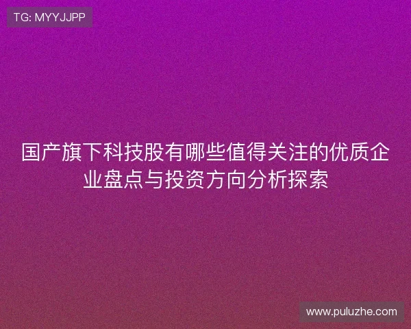 国产旗下科技股有哪些值得关注的优质企业盘点与投资方向分析探索 国产旗下科技股有哪些值得关注的优质企业盘点与投资方向分析探索